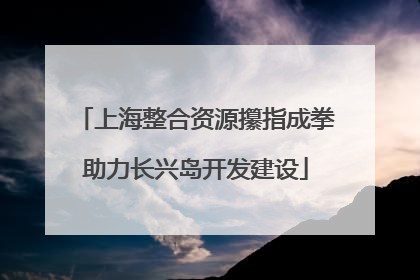 上海整合资源攥指成拳助力长兴岛开发建设